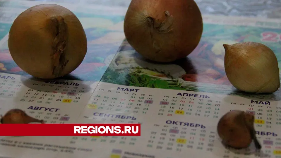Время для высадки подскажет агрокалендарь.&nbsp;Фото: REGIONS/Василий Тремасов