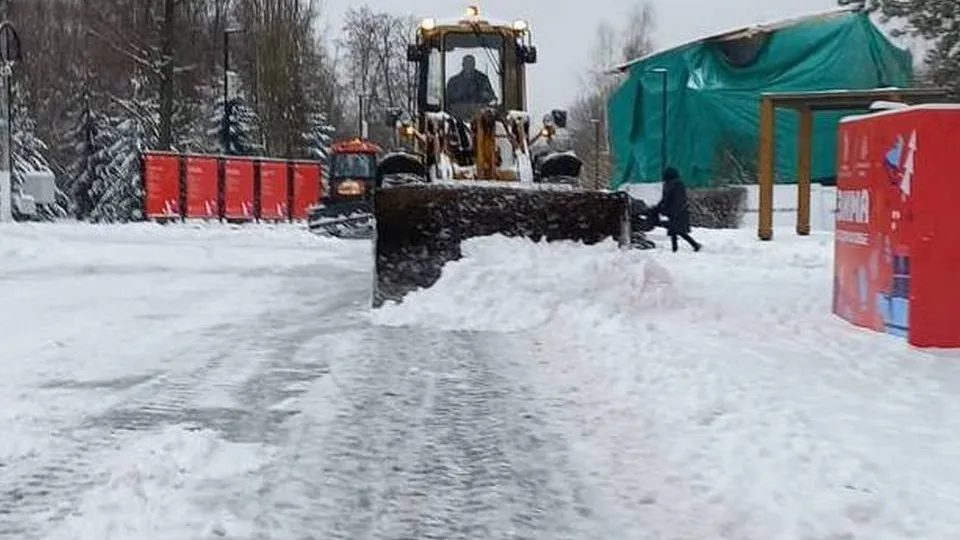 Картинка
