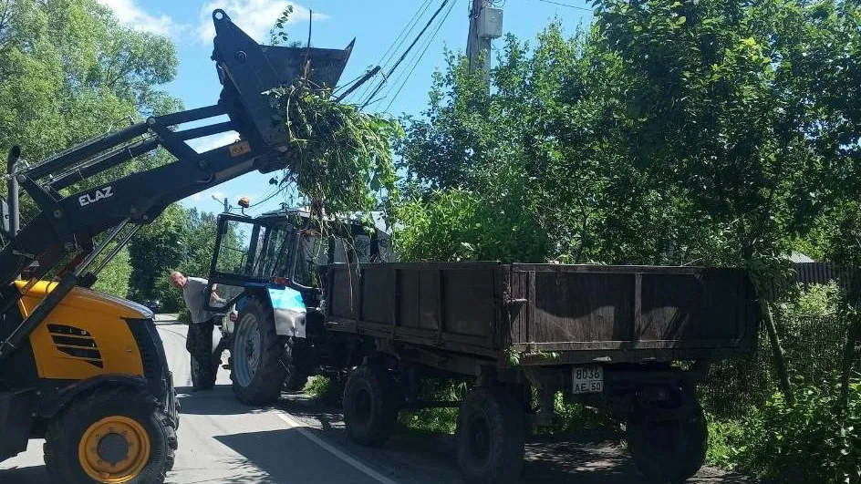Фото: Администрация г.о. Воскресенск