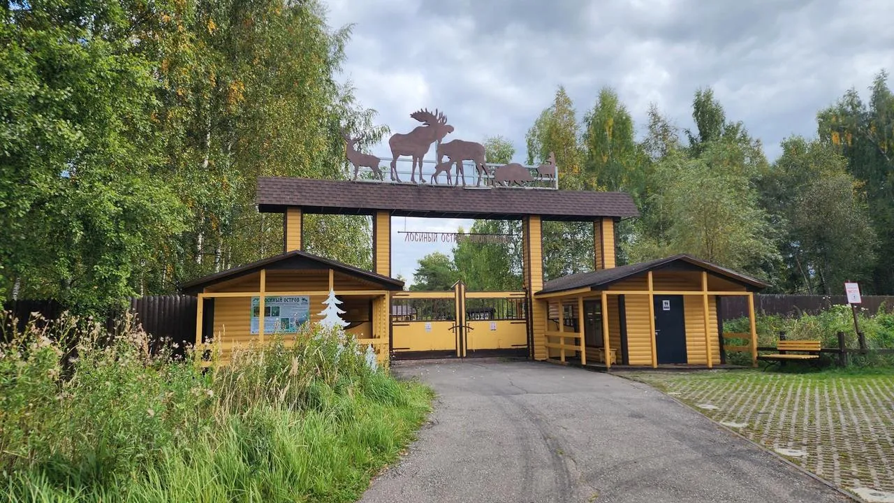 Картинка