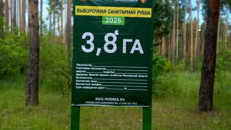 Фото: Комитет лесного хозяйства Московской области