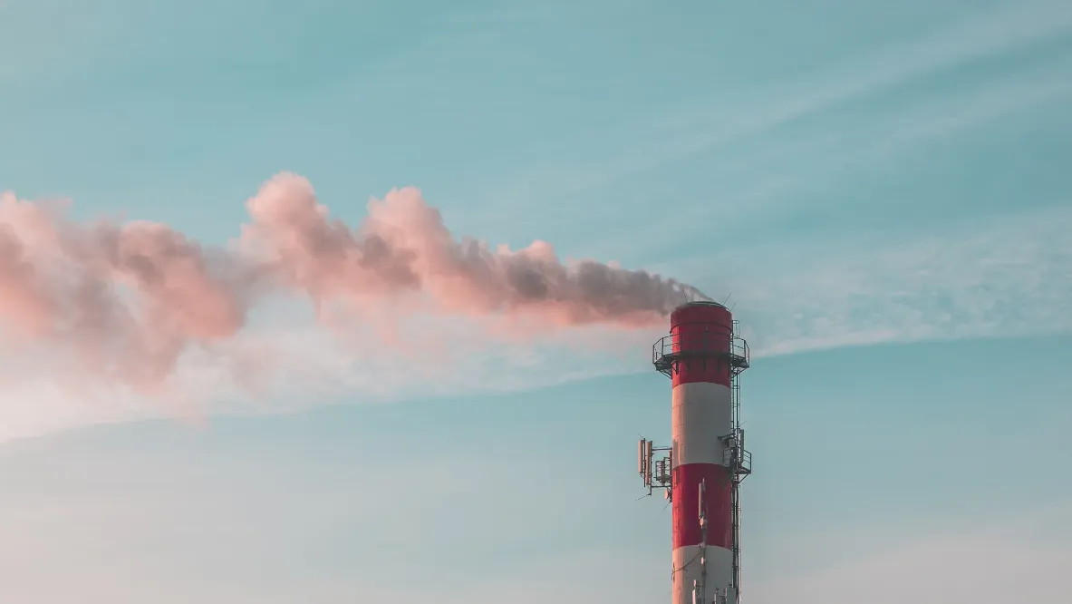 Фото: unsplash.com