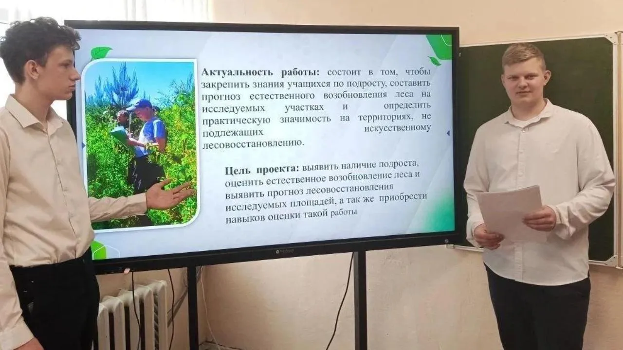 Юные экологи из Ступина заняли 3 место на Всероссийском конкурсе школьных лесничеств