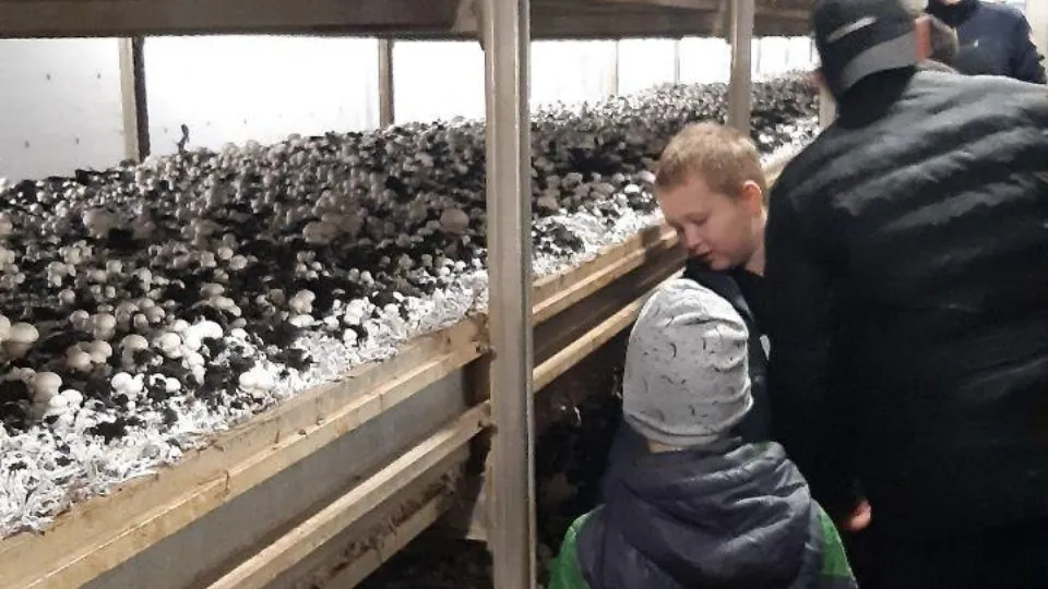 Фото: Семейный центр «Зарайский»