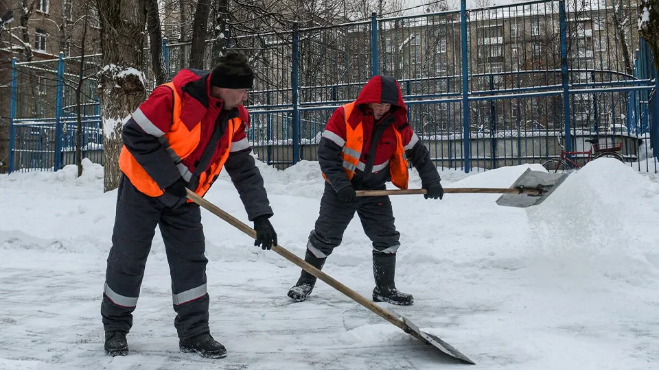 Фото: медиасток.рф