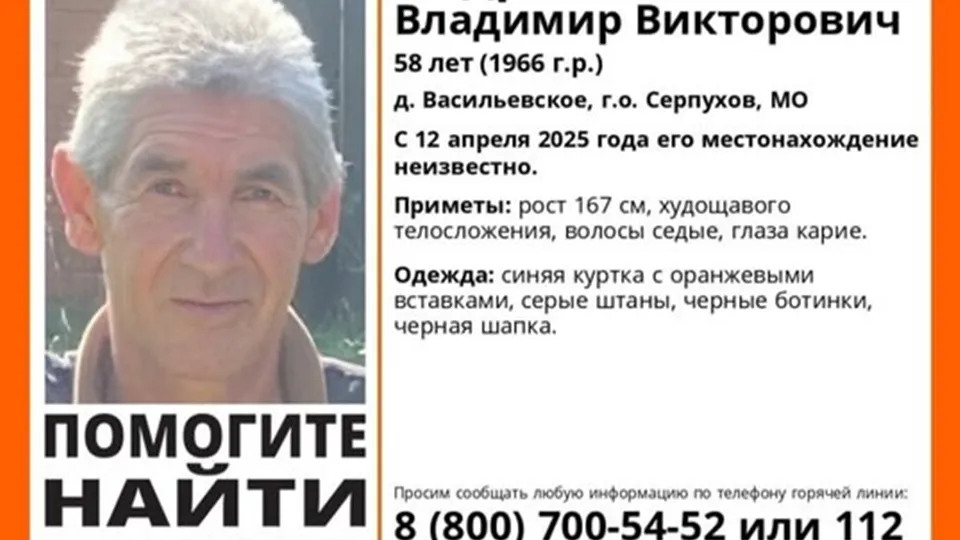 Фото: ДПСО «Лиза Алерт»
