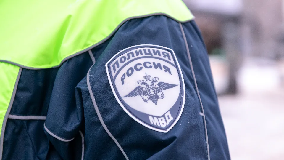 Фото: МедиаБанк Подмосковья/Антон Шаманин