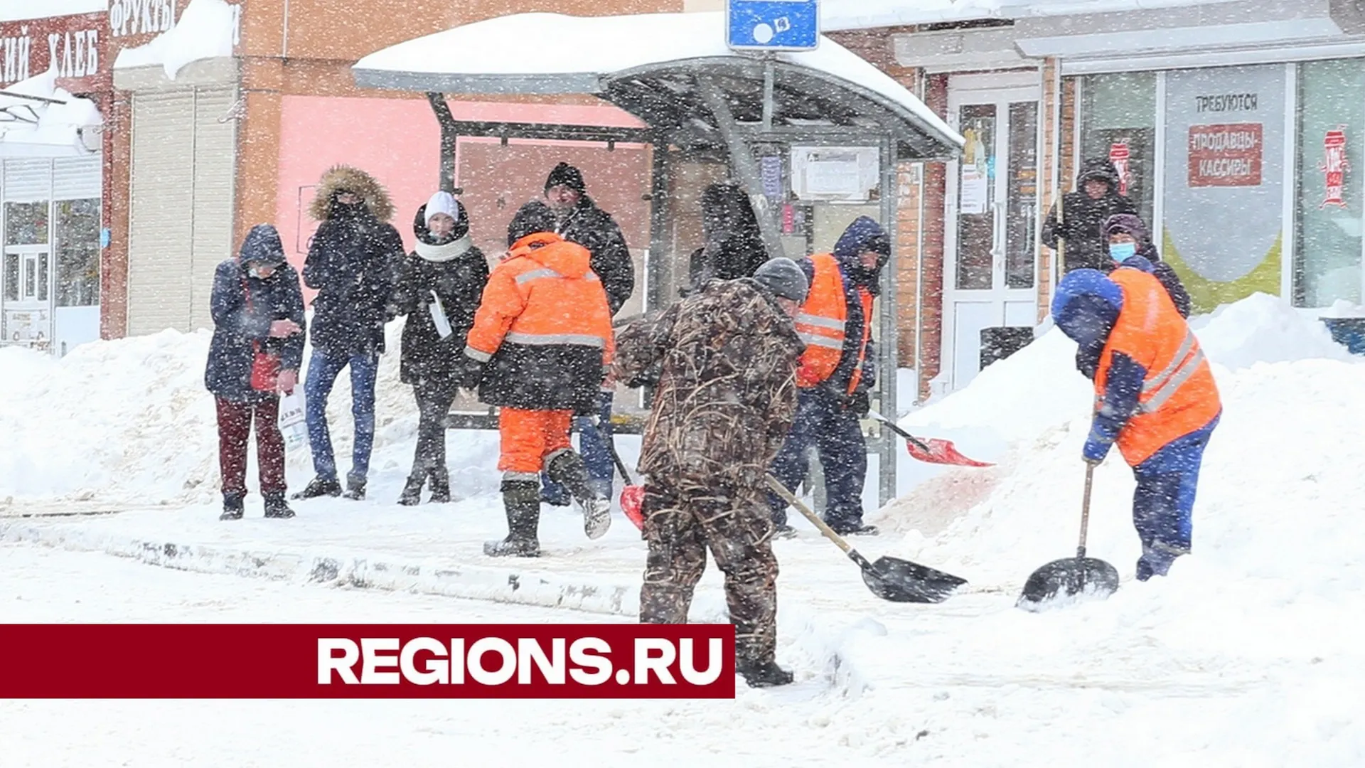 Фото: Александр Дрожжин