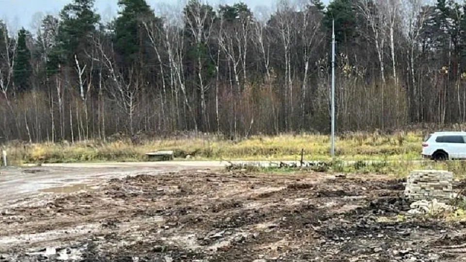 Фото: Пресс-служба министерства экологии и природопользования Московской области