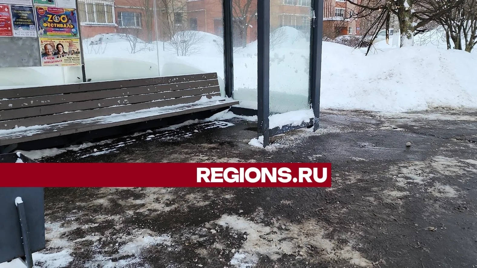 Фото: Нина Басистая