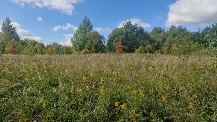 Участок на торгах в Подмосковье