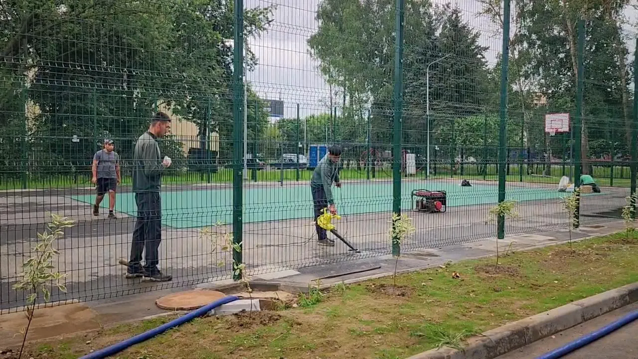 Картинка