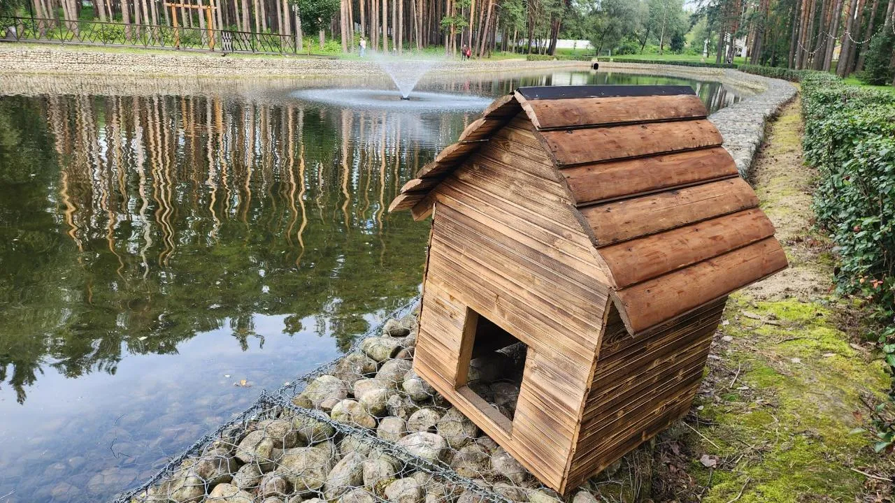 Картинка