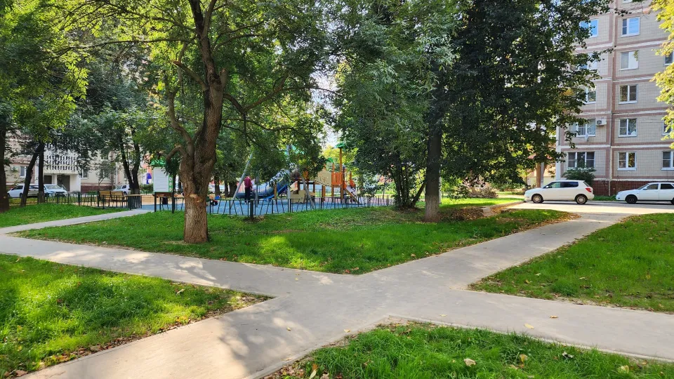 Фото: Медиабанк Подмосковья/Дмитрий Алексеенко