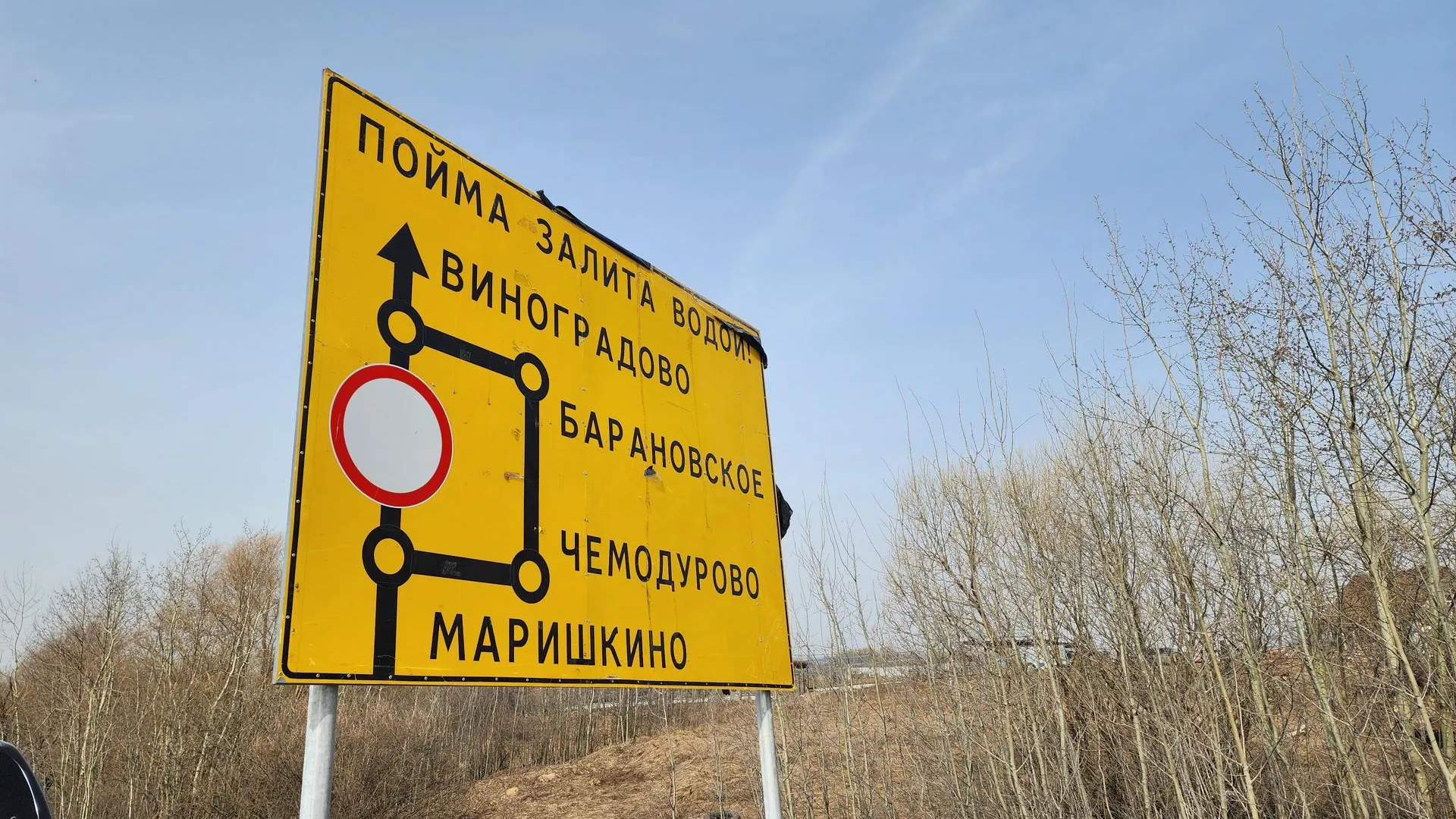 Фото: Светлана Плотникова