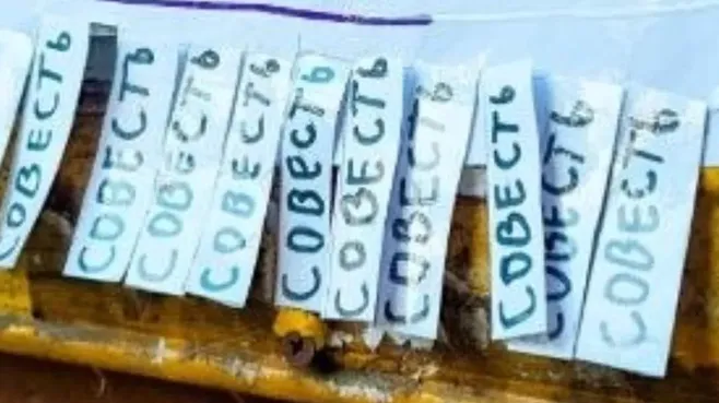 В Малаховке жителям предложили разобрать совесть