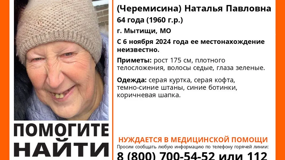 &nbsp; Фото: Добровольческий поисково-спасательный отряд «Лиза Алерт»