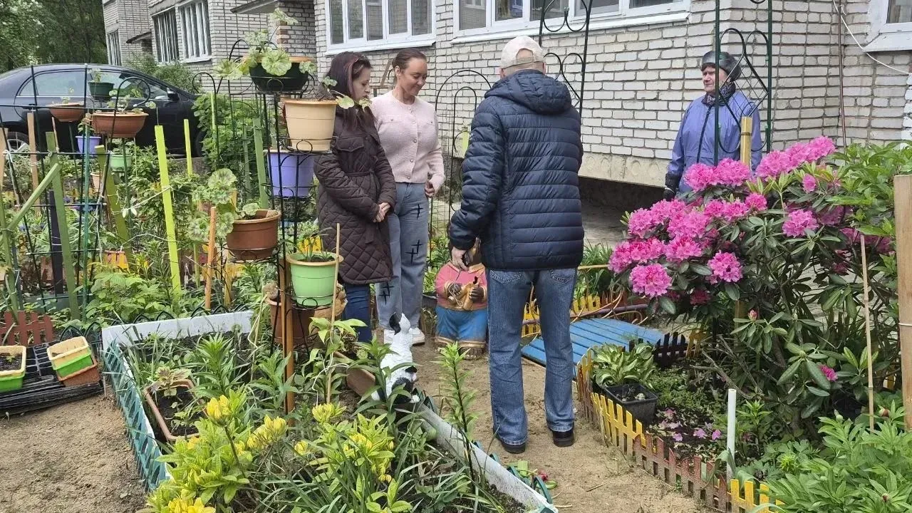 Картинка