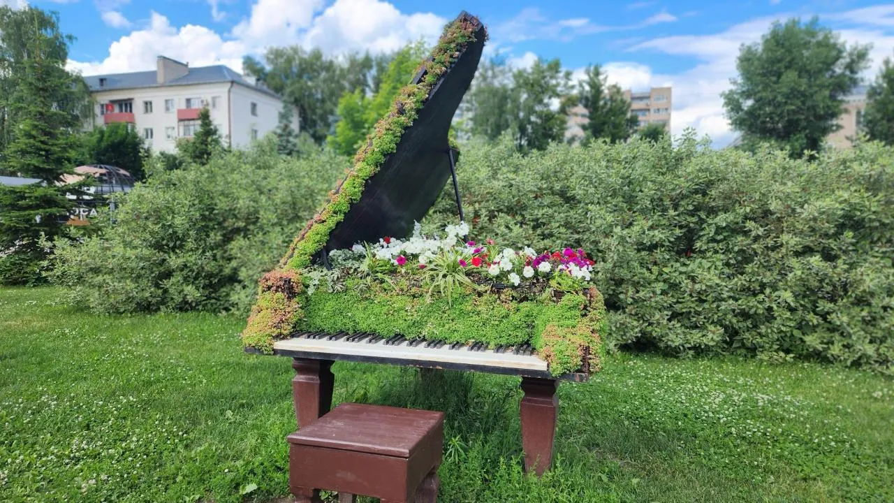 Картинка