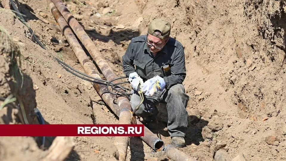 Фото: REGIONS/Александр Дрожжин