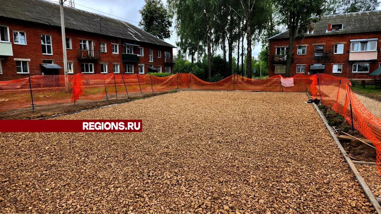 Фото: Дмитрий Беденко