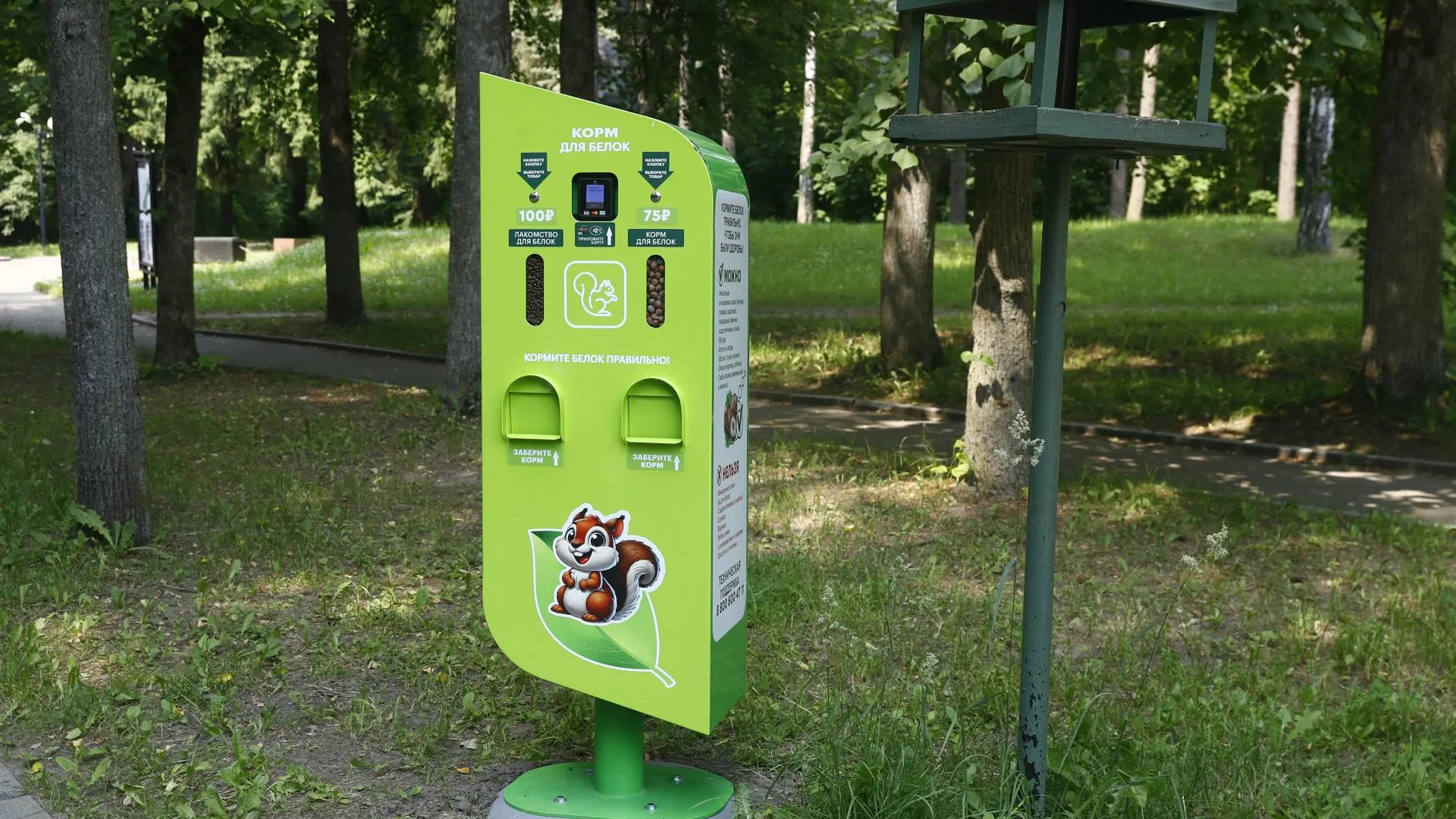Картинка