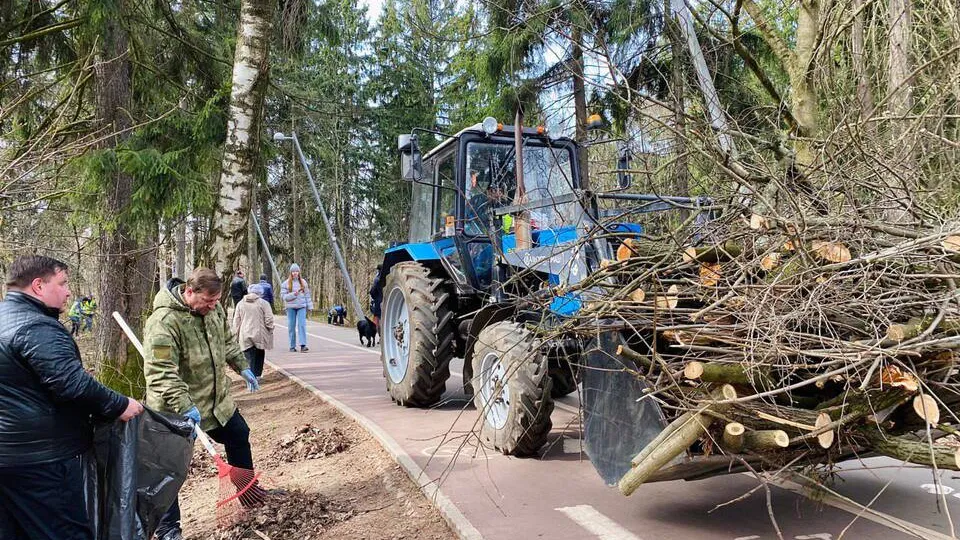 Фото: пресс-служба администрации городского округа Королев