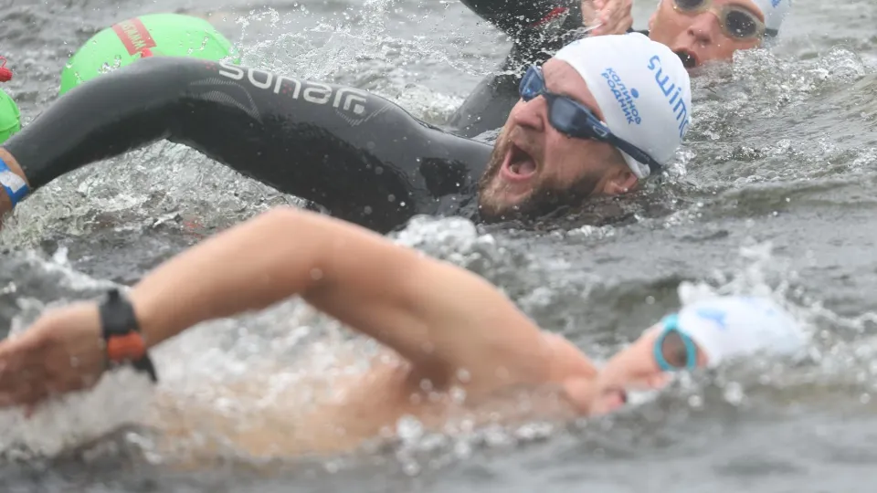 Фото: Кубок чемпионов Swimcup