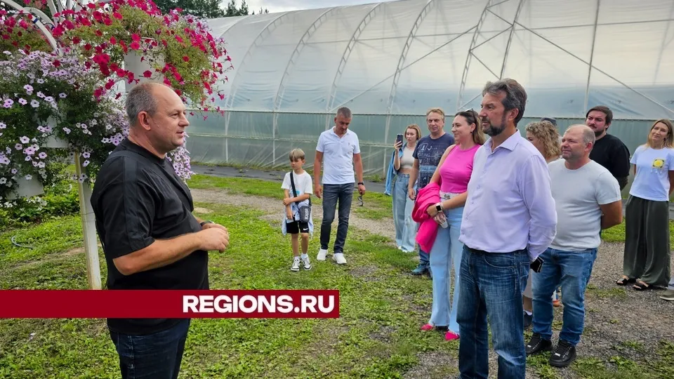Фото: REGIONS/Александр Дрожжин