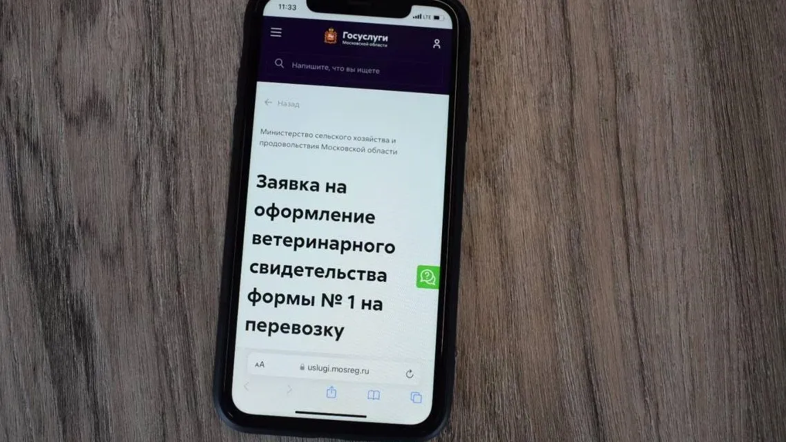 Фото: пресс-служба Минздрава Московской области