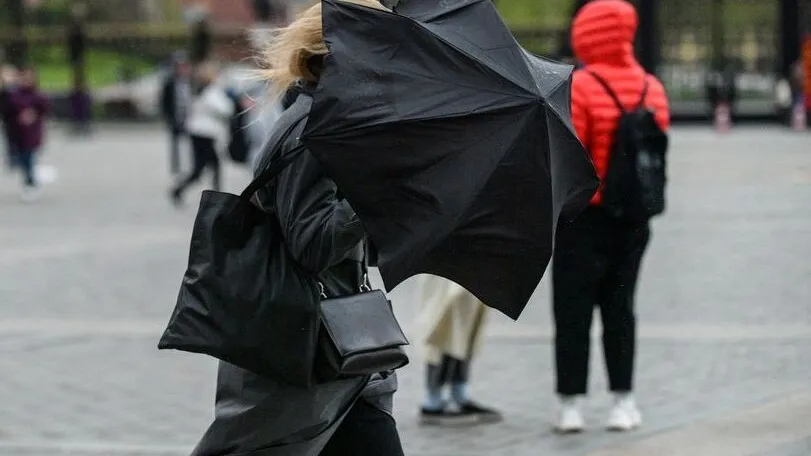 Фото: медиасток.рф