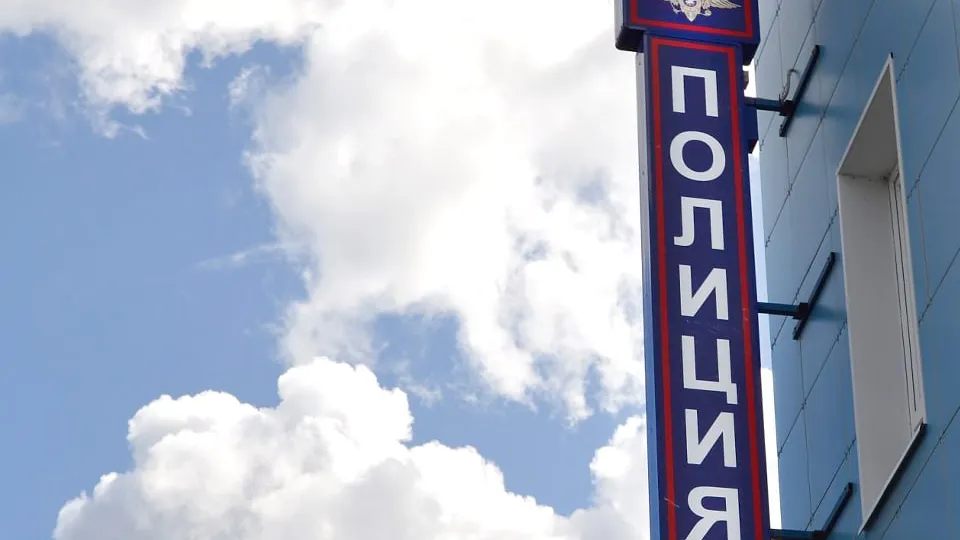 Фото: пресс-служба ОМВД России по Рузскому м.о.