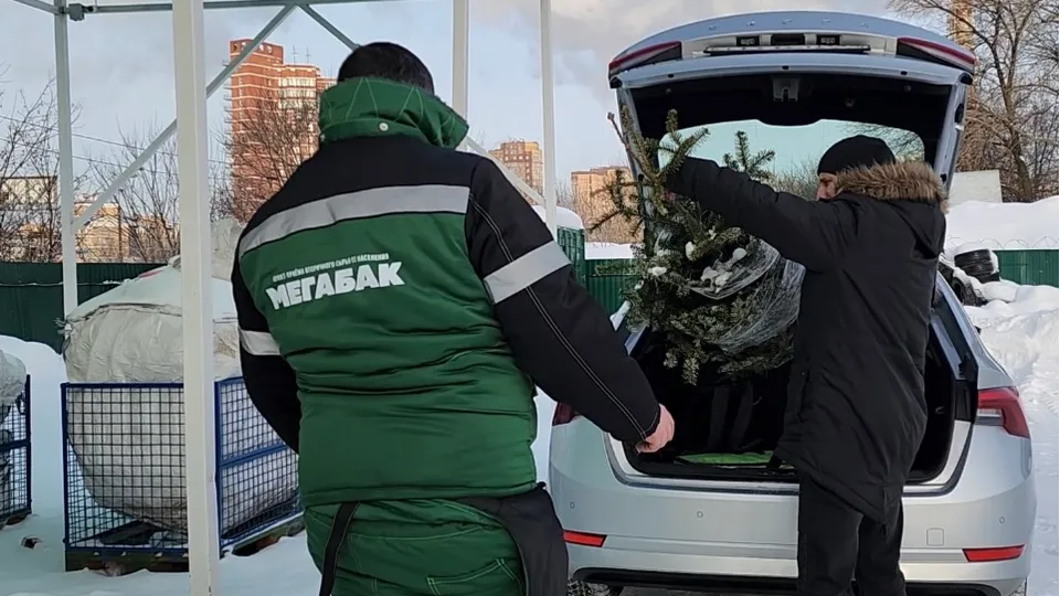 Фото: МедиаБанк Подмосковья/Валерия Ерофеева&nbsp;