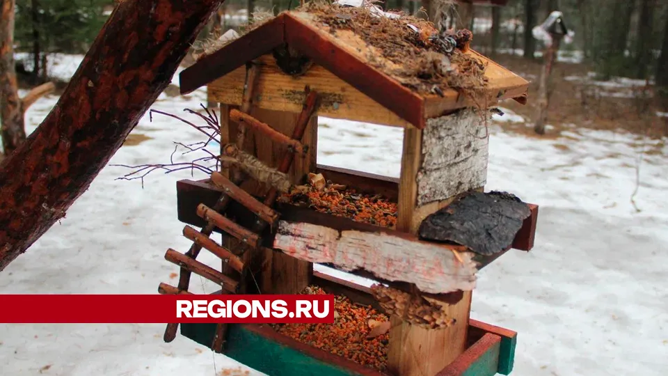 Фото: REGIONS/Василий Тремасов