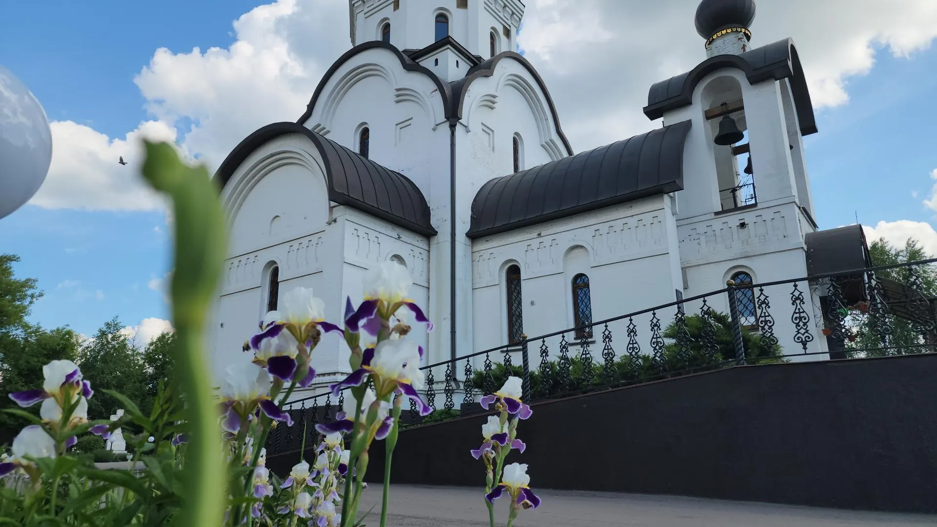 Картинка