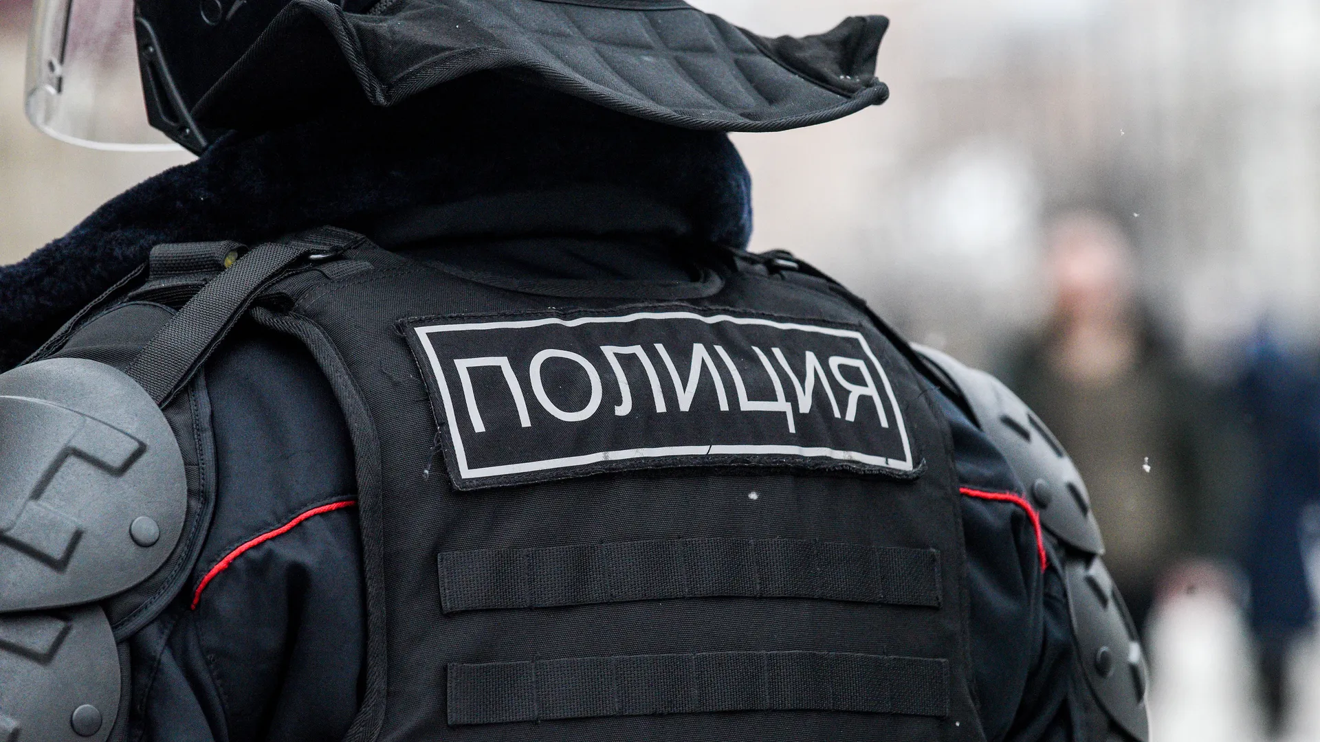Фото: Медиаархив Подмосковья