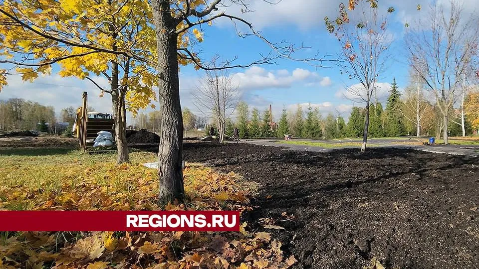 Фото: МедиаБанк Подмосковья/Андрей Семибратов