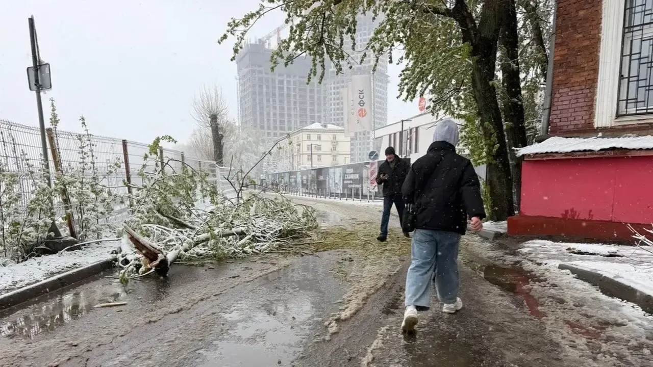 Май-2026 в Подмосковье: зонты важнее крема от загара — первый прогноз синоптиков