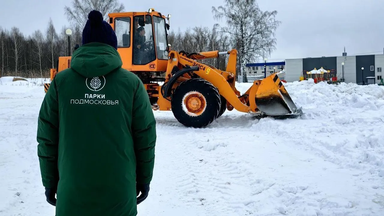 Парки 15 округов Московской области закрыты из-за снега и падения деревьев