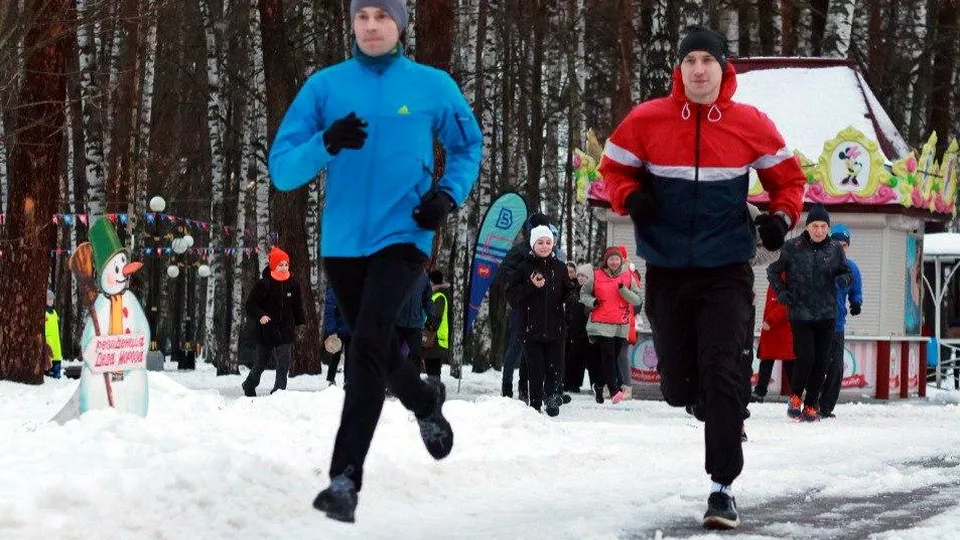 Фото: объединенная дирекция парков Богородского городского округа