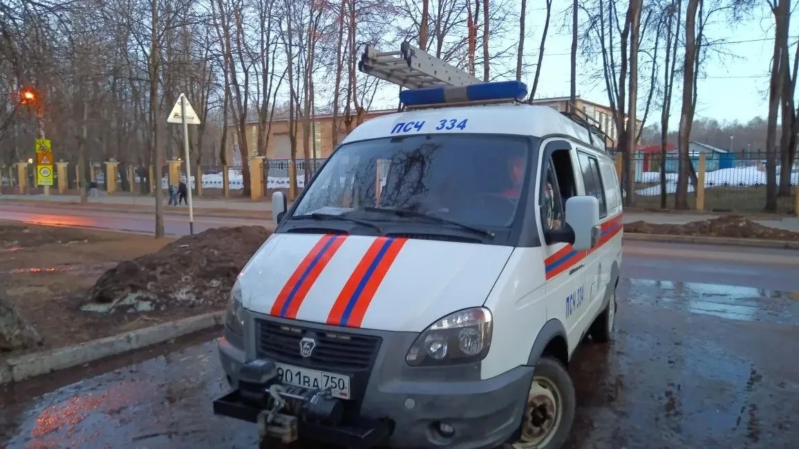 Картинка