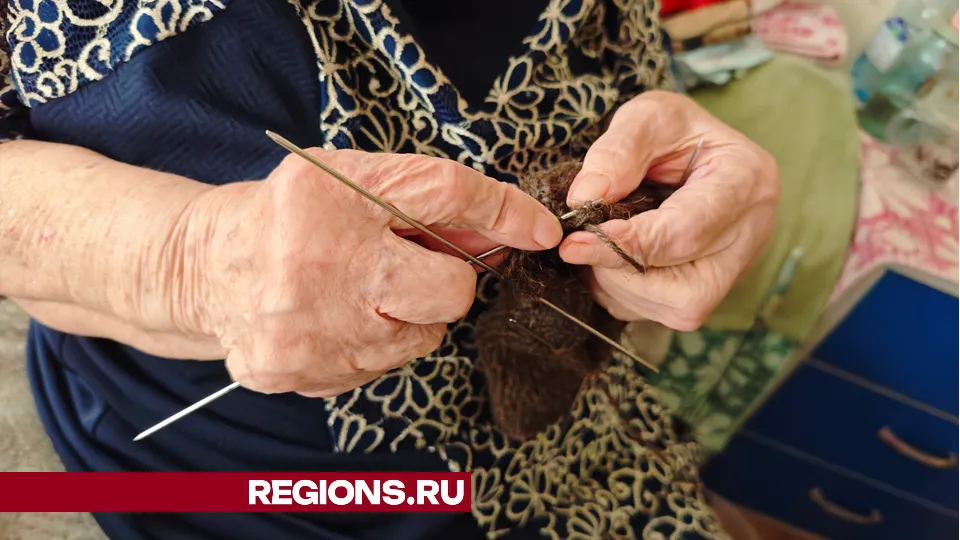 Фото: REGIONS/Дарья Кургузова