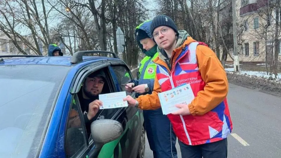 Фото: Волонтеры Домодедова