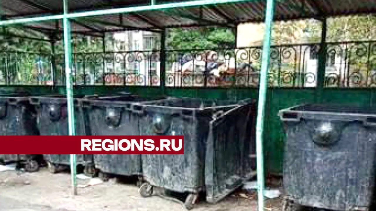 Фото: Министерство чистоты Московской области