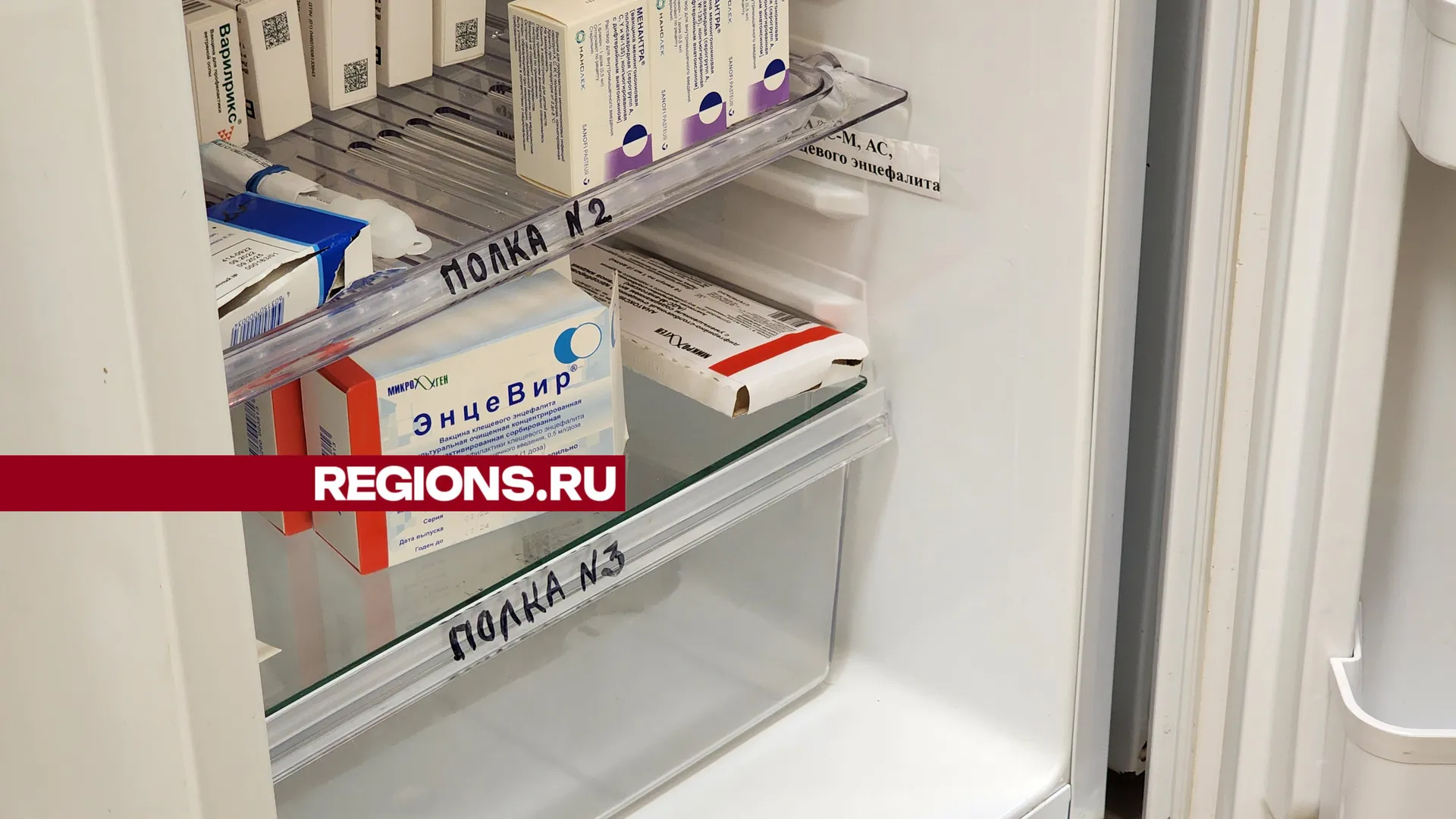 Фото: REGIONS/Ольга Фельдфебелева