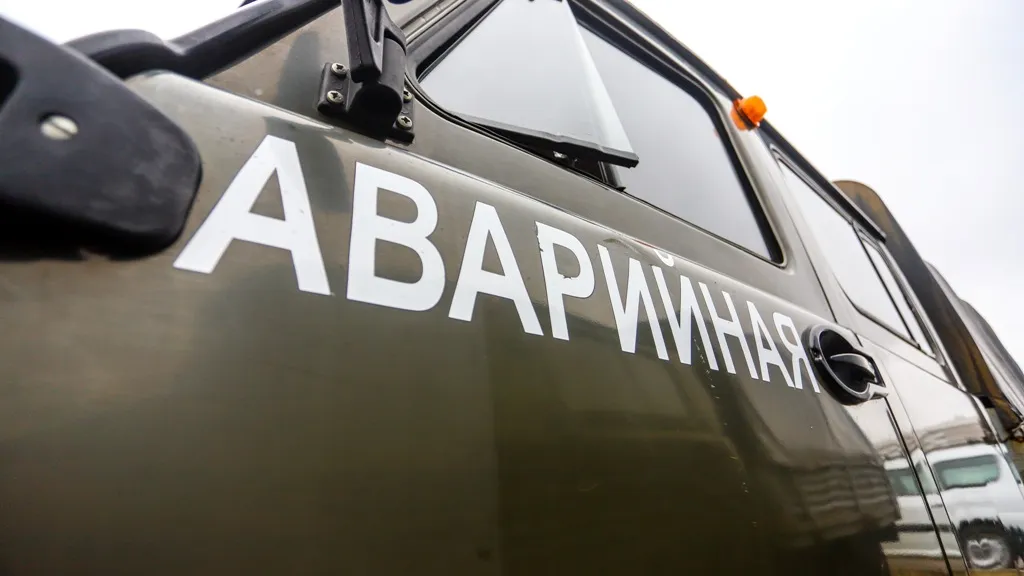 Фото: пресс-служба администрации г.о. Кашира