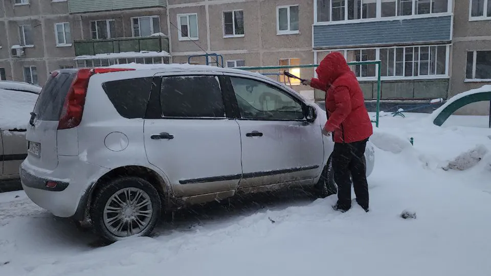 Картинка