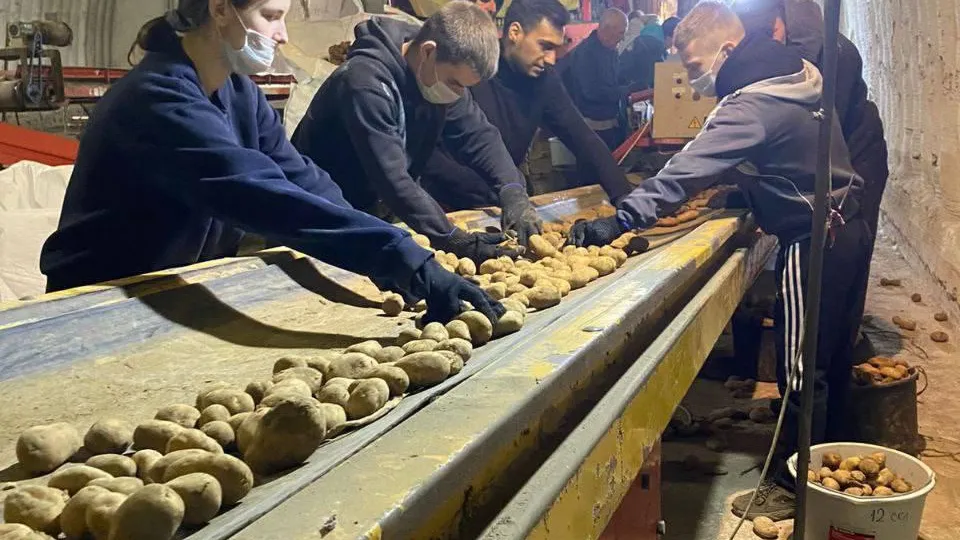 Фото: Министерство сельского хозяйства и продовольствия Московской области
