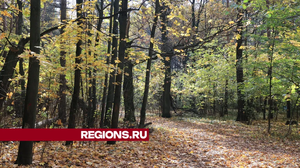 Фото: Алексей Грызлов