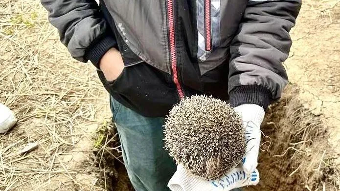 Фото: Министерство по содержанию территорий и государственному жилищному надзору МО